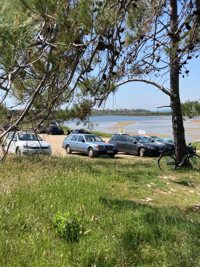 Beach Apartments Privlaka  Zewnętrze zdjęcie